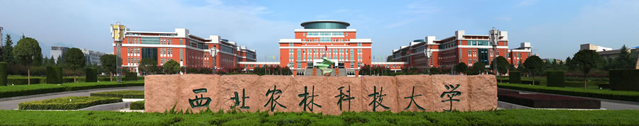 42.西北農(nóng)林科技大學(xué).jpg